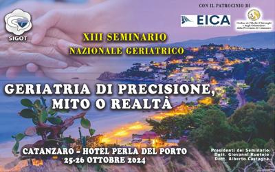XIII Seminario Nazionale Geriatrico
